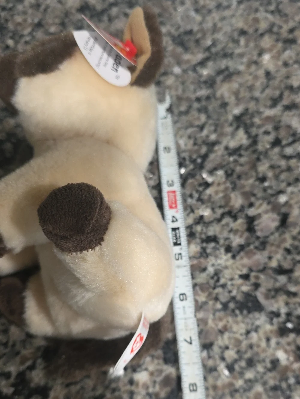 Ty Beanie Babies Jaden Siamese Kitten - Cream and Brown - Picture 5 of 5